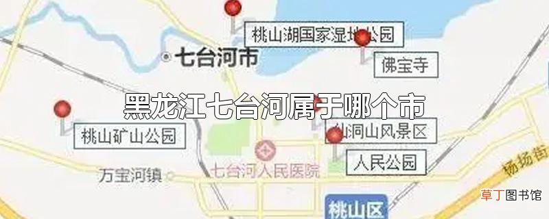 黑龙江七台河属于哪个市