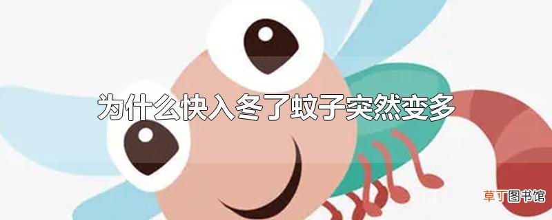 为什么快入冬了蚊子突然变多