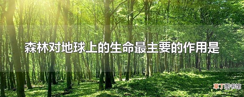 森林对地球上的生命最主要的作用是