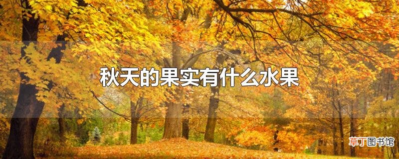 秋天的果实有什么水果