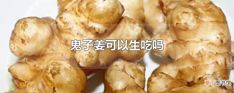 鬼子姜可以生吃吗