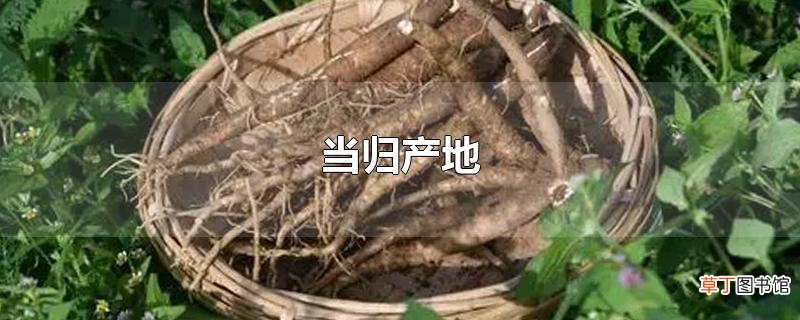当归产地