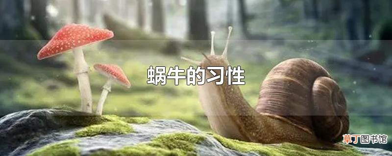 蜗牛的习性
