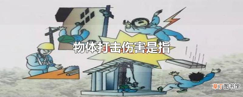 物体打击伤害是指