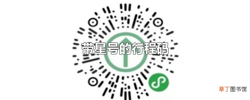 带星号的行程码