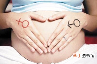 四维彩超怎么看性别？四维看男孩女孩诀窍