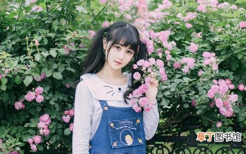 好听稀少的女孩名字推荐