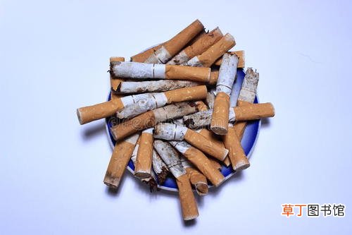 烟头中心温度可达多少度
