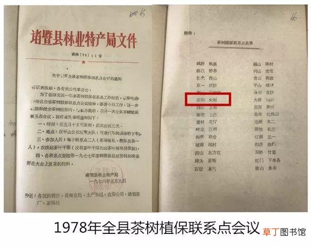 东和茶叶网官网价格