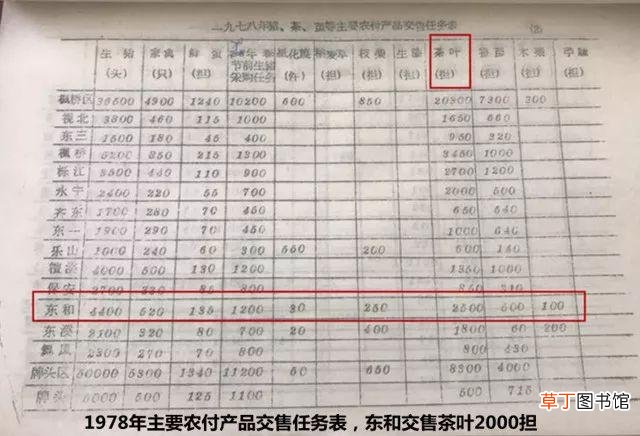 东和茶叶网官网价格