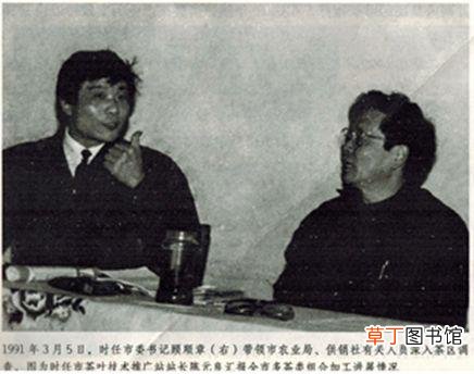 东和茶叶网官网价格