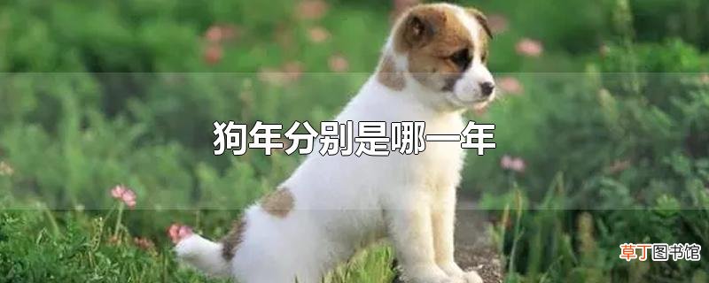 狗年是哪一年