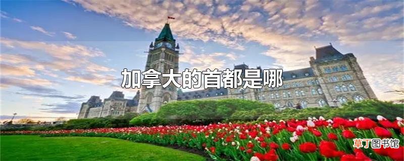 加拿大的首都是哪