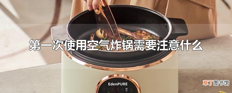 第一次使用空气炸锅需要注意什么