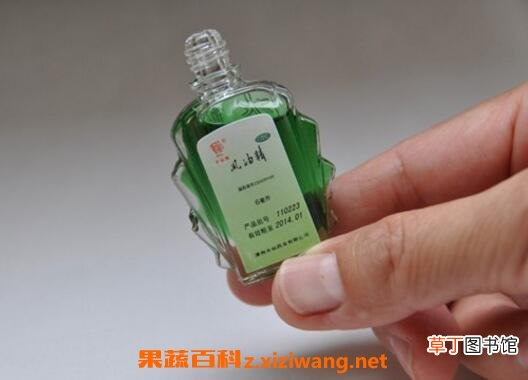 驱蚊植物有用吗 驱蚊子最有效的方法