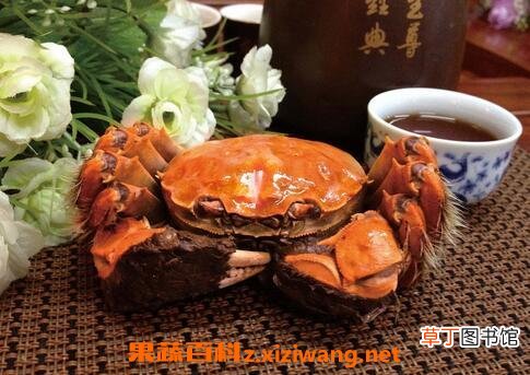大闸蟹不能和什么食物一起吃 大闸蟹不能和什么水果一起吃