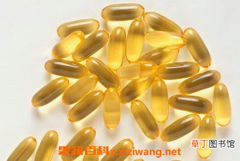 鱼油的功效与作用及禁忌