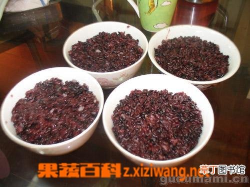 血糯米黑米粥