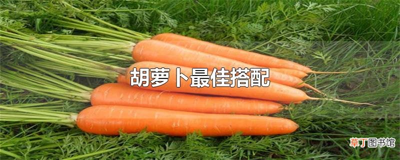 胡萝卜最佳搭配