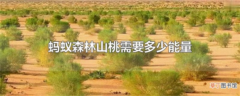 蚂蚁森林山桃需要多少能量