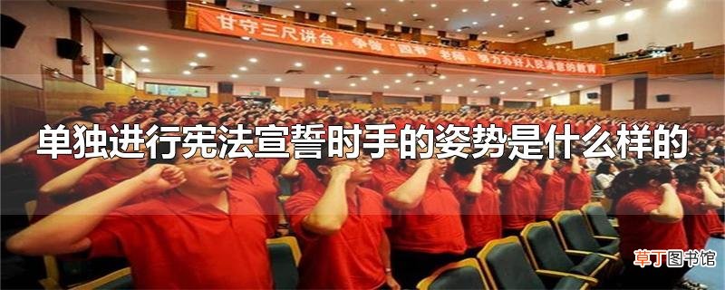 单独进行宪法宣誓时手的姿势是什么样的
