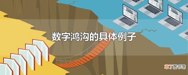 数字鸿沟的具体例子