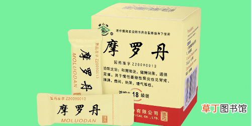 摩罗丹说明书-摩罗丹的作用与功效