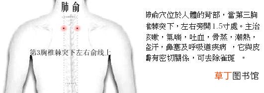 按摩哪里对肺好-按摩哪里对肺部有好处