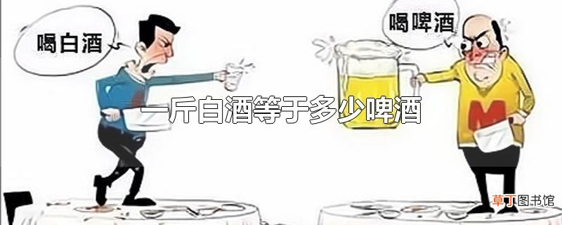 一斤白酒等于多少啤酒