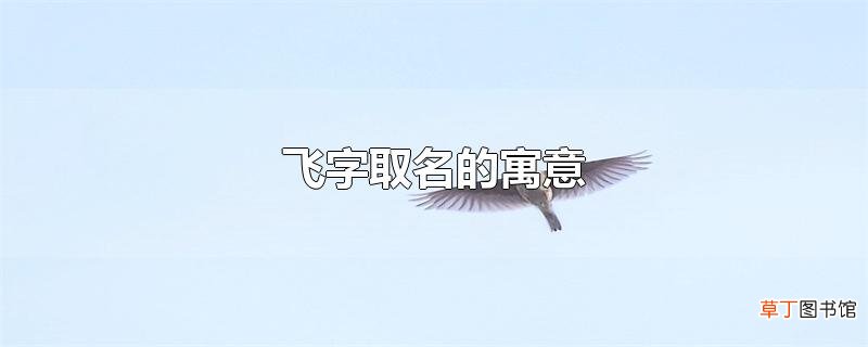 飞字取名的寓意