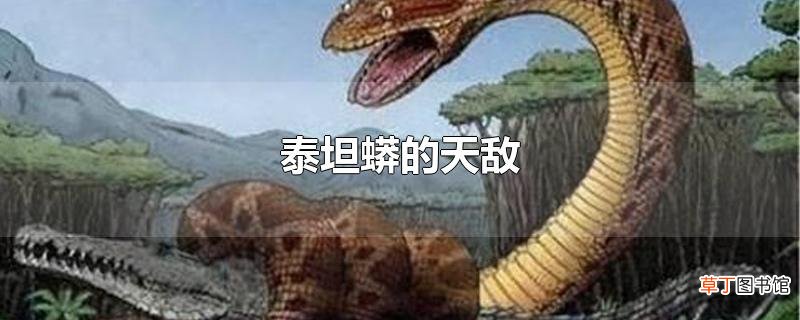 泰坦蟒的天敌