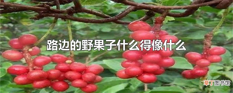 路边的野果子什么得像什么