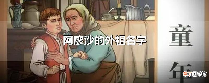 阿廖沙的外祖名字