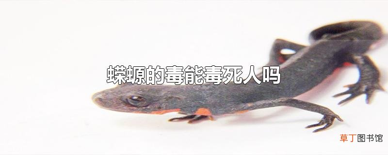 蝾螈的毒能毒死人吗