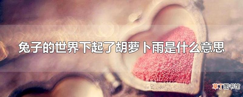 兔子的世界下起了胡萝卜雨是什么意思