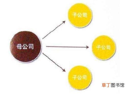 设立分公司有什么好处，分公司独立核算的利弊