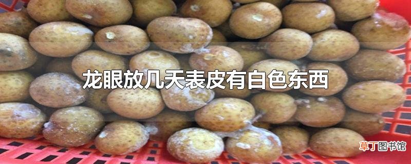 龙眼放几天表皮有白色东西