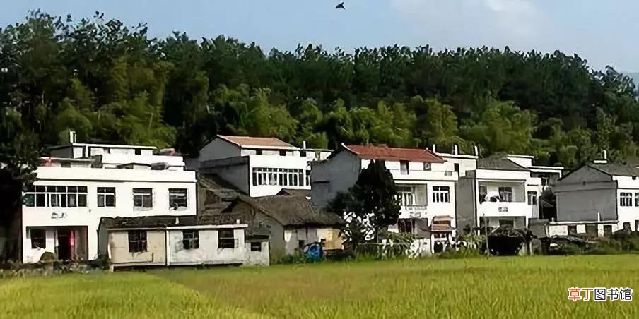 农村宅基地可以买卖交易吗 2021年农村宅基地可以买卖吗