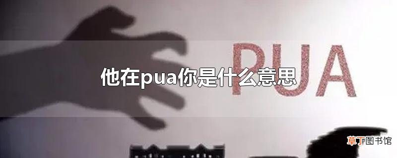 他在pua你是什么意思