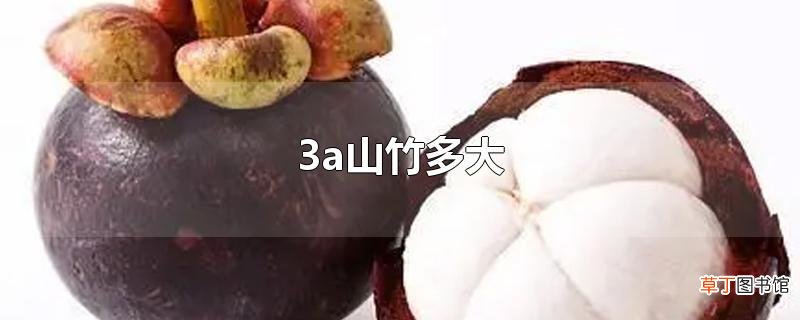 3a山竹多大