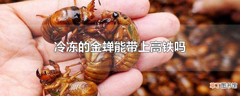 冷冻的金蝉能带上高铁吗