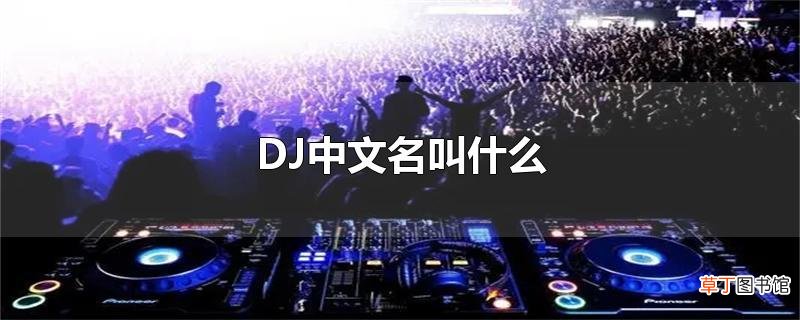 DJ中文名叫什么