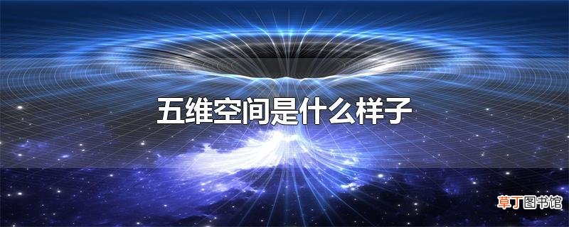 五维空间是什么样子