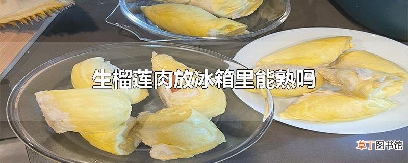 生榴莲肉放冰箱里能熟吗