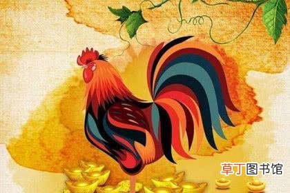 属鸡在脖子上戴什么好 属鸡的人辟邪最厉害的是什么