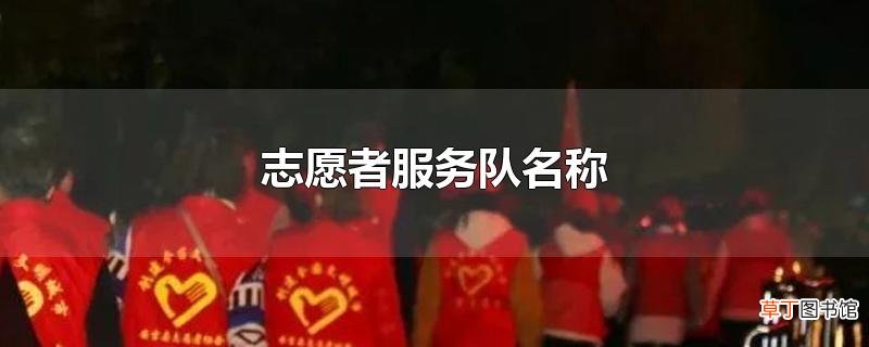 志愿者服务队名称