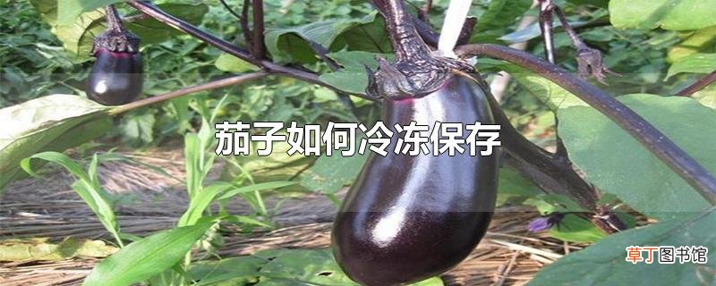 茄子怎么冷冻保存