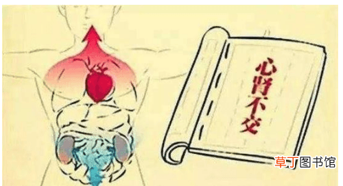 心肾不交的症状和原因-心肾不交的临床表现
