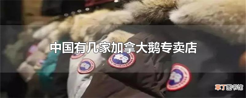 中国有几家加拿大鹅专卖店