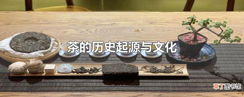 茶的历史起源与文化
